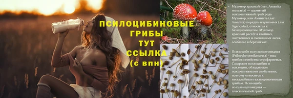 ECSTASY Богданович