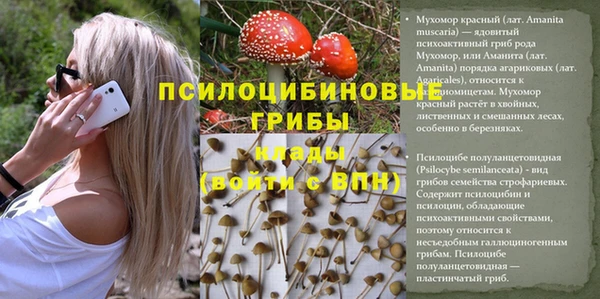 ECSTASY Богданович