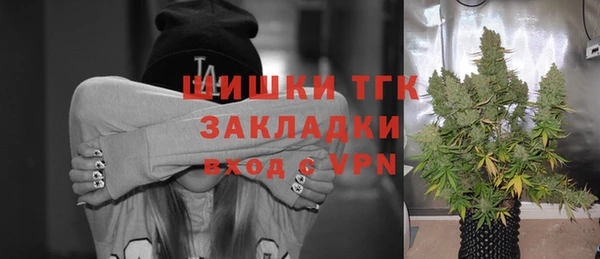 ECSTASY Богданович