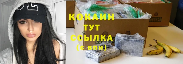 ECSTASY Богданович