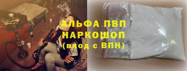 ECSTASY Богданович
