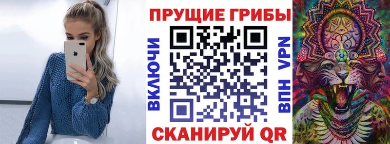 блэк спрут как войти  Малмыж  Галлюциногенные грибы мухоморы 